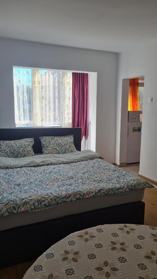 Studio Chic Symphony Parcare Privata Arad Exteriör bild